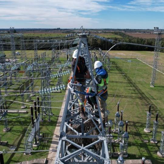 Reconfiguración en la energía