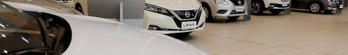 Los patentamientos en el primer trimestre