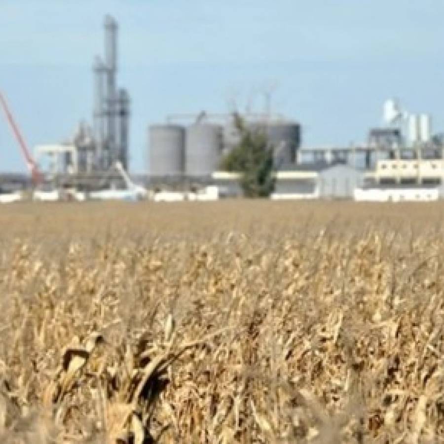 El agro entrerriano pierde terreno