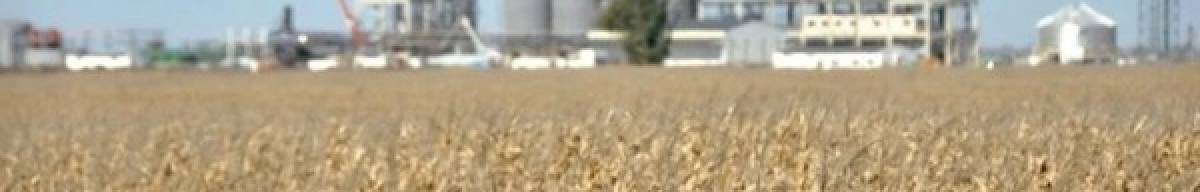 El agro entrerriano pierde terreno